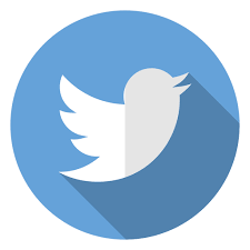 Twitter Icon